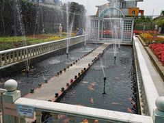 -百万葵园