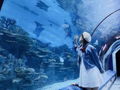 -福州罗源湾海洋世界旅游区