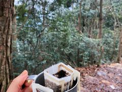 -午潮山国家森林公园