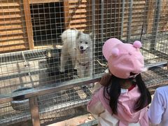 -北戴河集发农业梦想王国