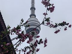 -龟山风景区-龟山电视塔