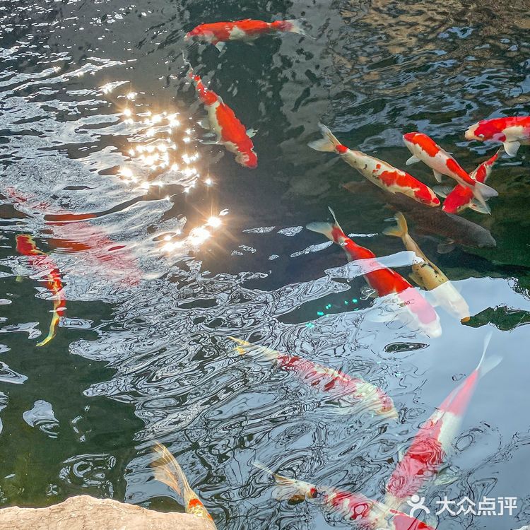 熙南里的私房菜馆~满满中式美学风！