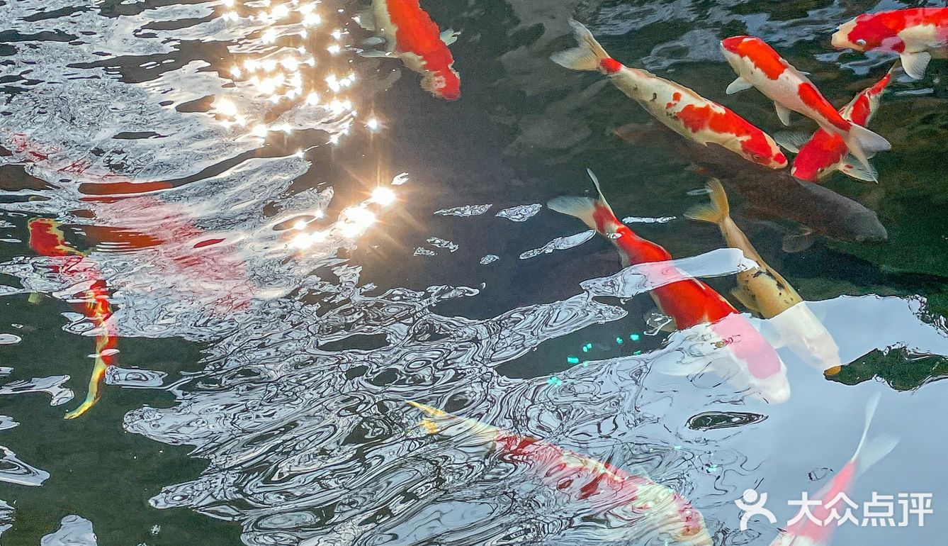 熙南里的私房菜馆~满满中式美学风！