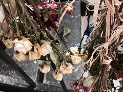 -植物学家的女儿(北马道巷店)