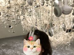 -蓬皮杜艺术中心
