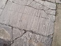-油麻地果栏