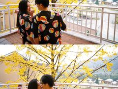 -重庆南山海昌汤都