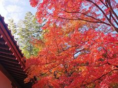 -常寂光寺