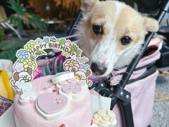 -J Create城市露营咖啡·简餐·宠物(上海动物园店)