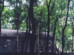 -深业半汤御泉庄温泉