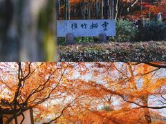 -云栖竹径