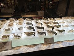 -半岛翡丽海鲜自助餐厅(观风亭店)