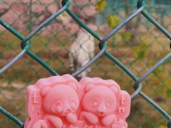 -鄂尔多斯野生动物园