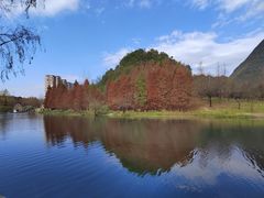 -贵阳市花溪国家城市湿地公园