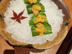 -月龍吟(朝龙汇店)