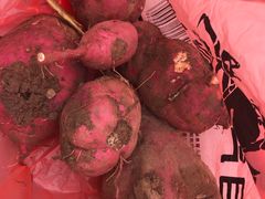 -乡乐园蟹庄·阳澄湖农家乐