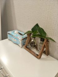 点击看大图 -阅年轻·AI家庭健康体质调理