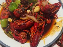 -杨氏青龙虾·羊蝎子(托乐嘉店)
