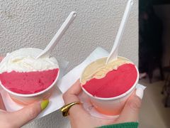 荔枝树莓洛神花-Dip in Gelato(富民路店)