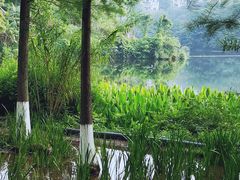 -重庆彩云湖湿地公园