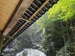 -藏龙百瀑风景区