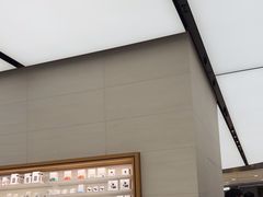 -Apple零售店(苏州店)