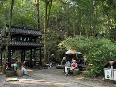 -峨眉山报国寺