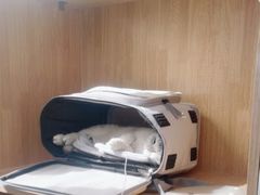 -美联众合动物医院·24h京西诊疗中心