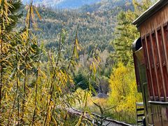 -莫尔道嘎国家森林公园