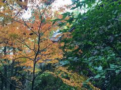 -宁波市保国寺古建筑博物馆