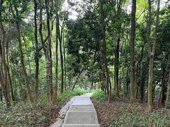 -广州市帽峰山景区