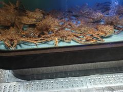 -阿伟海鲜楼·福建菜(延寿店)