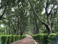 -攀枝花公园