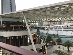 -润园四季椰子鸡火锅(海上世界店)
