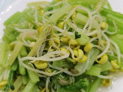 -金海湾海鲜排档(朱家尖店)