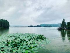 -东湖落雁景区