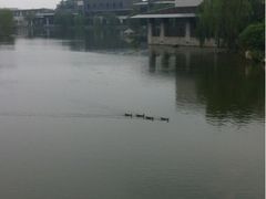 F4-上海怡沁园度假酒店