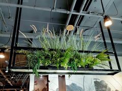 -创新高肥羊火锅(朝阳路店)