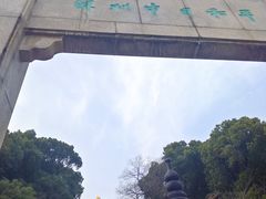 -苏州上方山国家森林公园