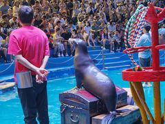 -烟台海昌鲸鲨海洋公园