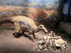 -自贡恐龙博物馆