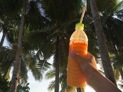 -Jonah's Fruit Shake & Snack Bar