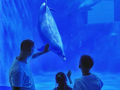 -多彩贵州城极地海洋世界