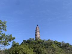 -顺峰山公园