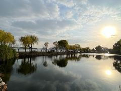 -无锡蠡湖国家湿地公园-蠡园