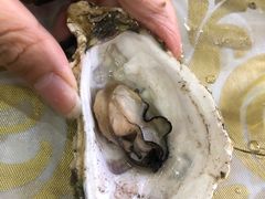 -百丈园龙江啫神馆