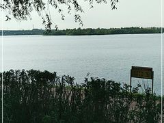 -丁香湖公园