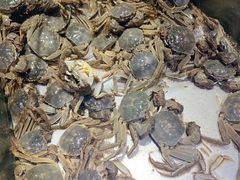 -欢乐牧场海鲜烤肉自助(牡丹园店)