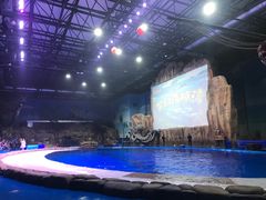 -华夏文旅海洋公园