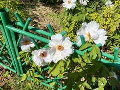 -河南省黄河迎宾馆